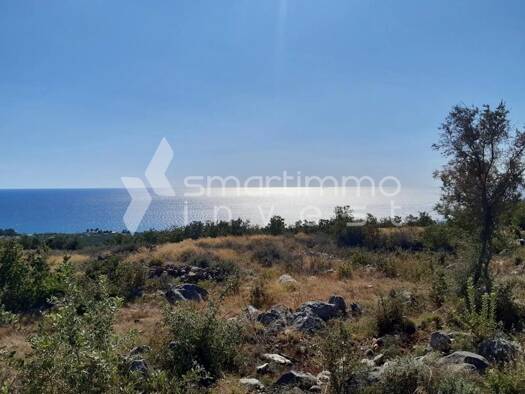 Land-/Forstwirtschaft zum Kauf 322.500 € Municipality of Trifylia 244 00