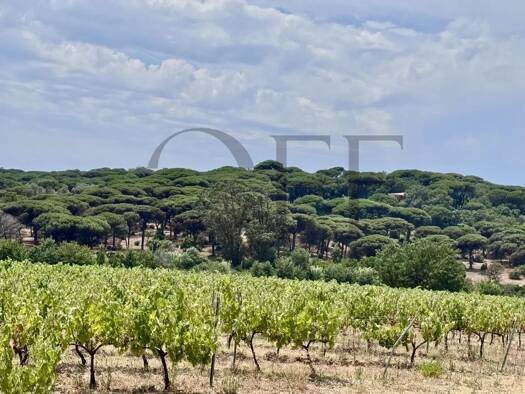 Villa zum Kauf 7.500.000 € 8 Zimmer 374 m² Ramatuelle 83350