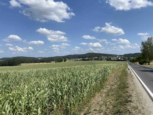 Landwirtschaftliche Fläche zum Kauf 1.600.000 € 174.860 m² Grundstück Seubersdorf Seubersdorf in der Oberpfalz 92358