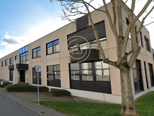 Bürofläche zur Miete provisionsfrei 9,50 € 841 m² Bürofläche teilbar ab 300 m² Raunheim 65479