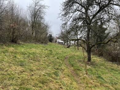 Grundstück zum Kauf 50.000 € 998 m² Grundstück Niederhausen Winterbach (Pfalz) 66484