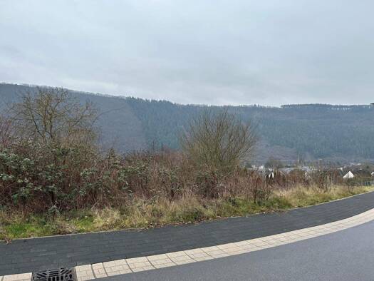 Grundstück zum Kauf 70.500 € 705 m² Grundstück Traben Traben-Trarbach 56841