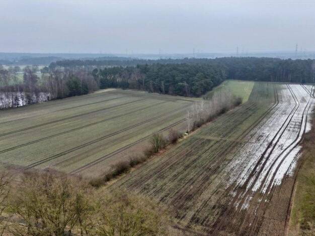 Landwirtschaftliche Fläche zum Kauf 54.500 m² Grundstück Samern 48465