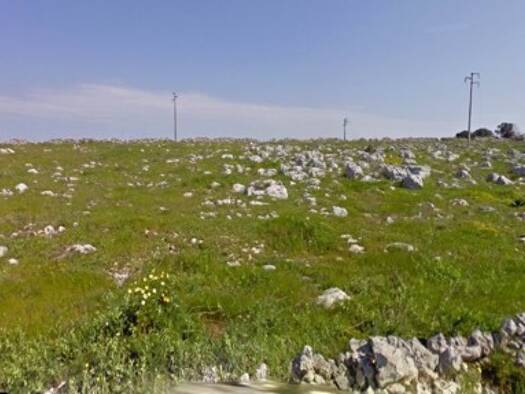 Grundstück zum Kauf 6.000 € 15.137 m² Grundstück Ortelle 73030