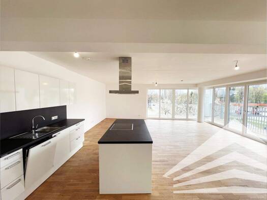 Wohnung zur Miete 903 € 2 Zimmer 91,5 m² 1. Geschoss Wiener Straße 175 Linz 4020