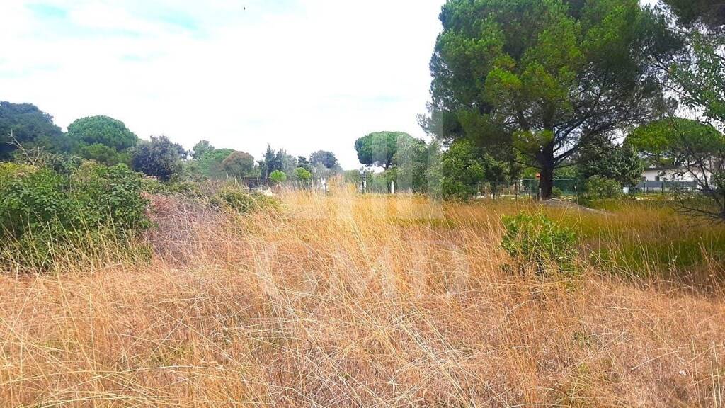 Land-/Forstwirtschaft zum Kauf 99.990 € Valbandon