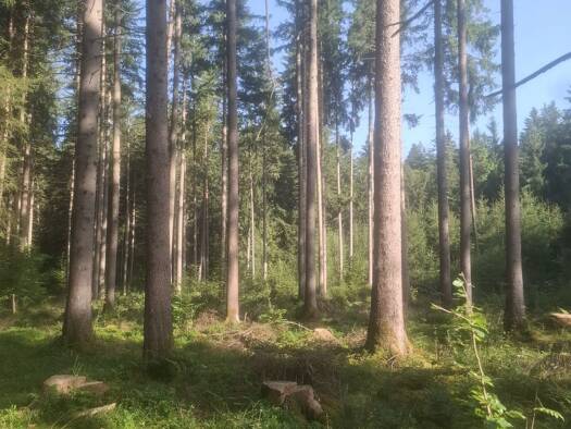 Land-/Forstwirtschaft zum Kauf 462.000 € 51.081 m² Grundstück Sauerlach 82054