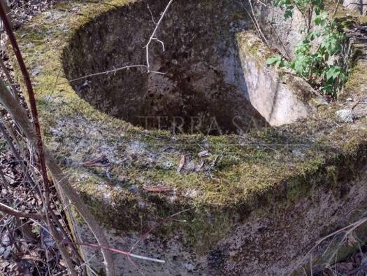Acker-/Waldstück zum Kauf 110.000 € Vrginmost 44410