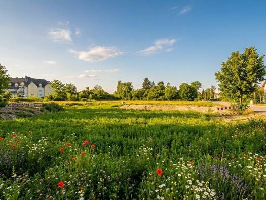 Grundstück zum Kauf 120.000 € 581 m² Grundstück Traismauer 3133