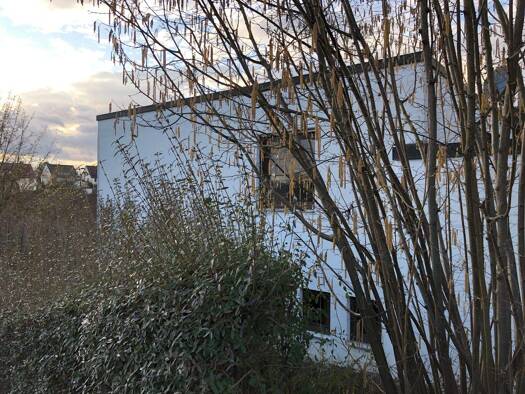 Doppelhaushälfte zum Kauf provisionsfrei 569.000 € 5 Zimmer 115 m² 324 m² Grundstück Oberesslingen Esslingen am Neckar 73730