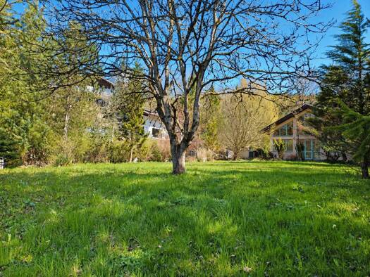 Grundstück zum Kauf 349.000 € 865 m² Grundstück Ebenau 5323