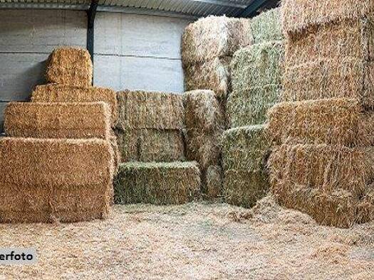 Land-/Forstwirtschaft zum Kauf 111.000 € 2.464 m² Grundstück Gersdorf Deutschlandsberg 8523