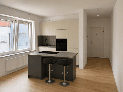 Wohnung zur Miete 920 € 2 Zimmer 57 m² Geschoss 2/5 frei ab 01.08.2026 Singen Singen (Hohentwiel) 78224