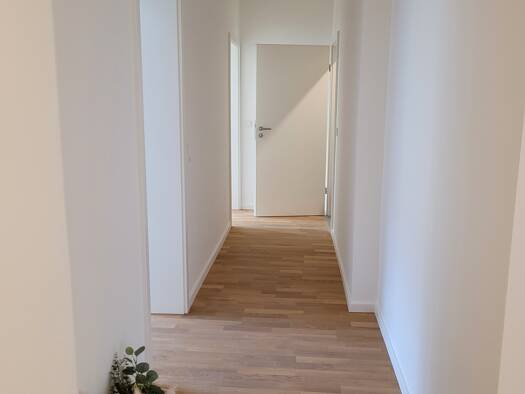 Wohnung zur Miete 1.550 € 3 Zimmer 96 m² 1. Geschoss frei ab 01.04.2026 Altstadt Würzburg 97070