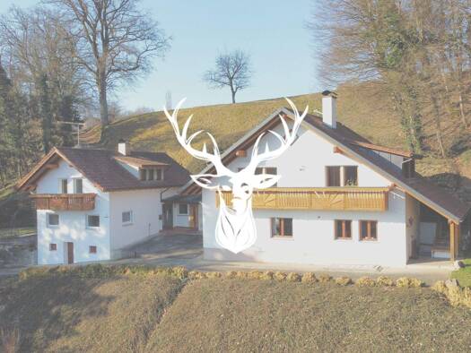 Haus zum Kauf 549.000 € 5,5 Zimmer 260 m² 2.500 m² Grundstück Bühl Klettgau 79771