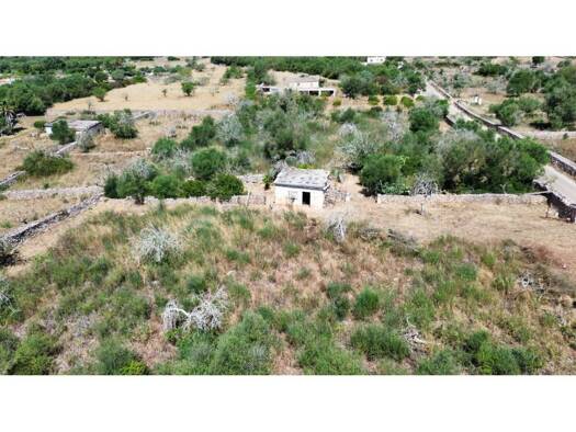 Acker-/Waldstück zum Kauf 92.000 € Santa Margalida 07459