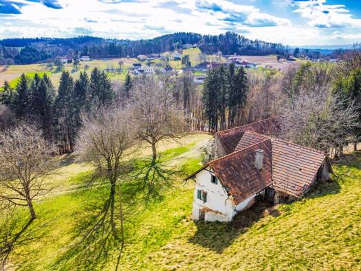 Bauernhaus zum Kauf 275.000 € 10.000 m² Grundstück Stefansberg 25 Sankt Stefan im Rosental 8082