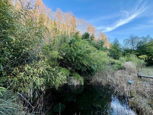 Mehrfamilienhaus zum Kauf 750.000 € 11 Zimmer 292 m² 1.038 m² Grundstück St. Wilhelm Oberried 79254