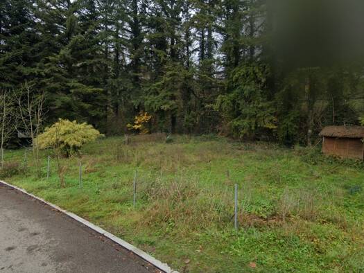 Grundstück zum Kauf provisionsfrei 199.000 € 460 m² Grundstück Waldstraße 2 Ettikon Küssaberg 79790