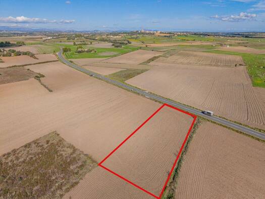 Grundstück zum Kauf 14.000 € 2.839 m² Grundstück Ariany 07520