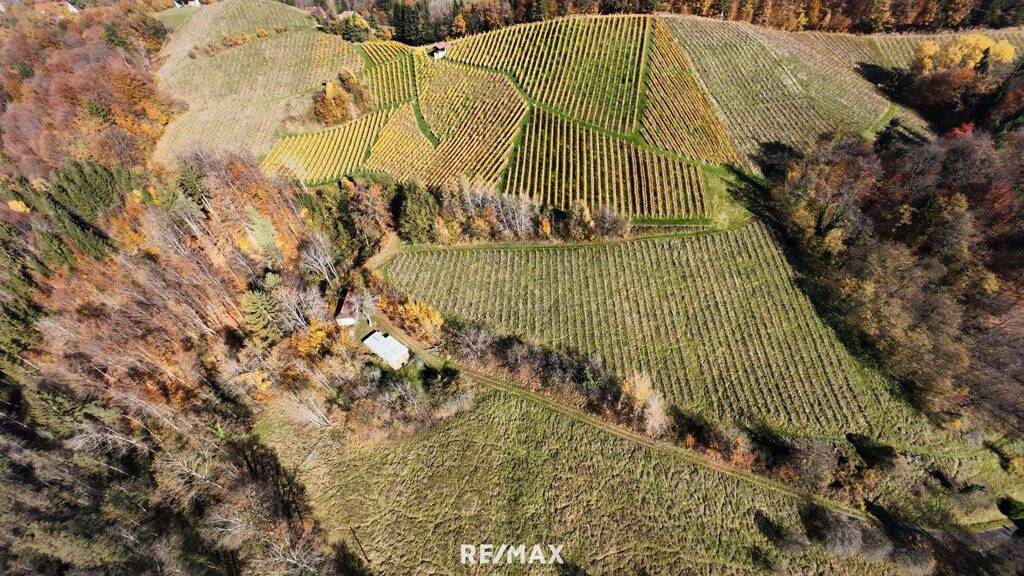 Weingut zum Kauf 666.000 € 66.000 m² Grundstück Kranach 93 Gamlitz 8462