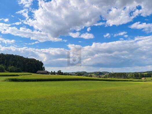 Penthouse zum Kauf 265.000 € 2 Zimmer 55 m² 3. Geschoss Moosdorf 5141