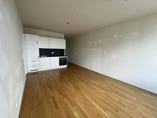 Wohnung zur Miete 1.040 € 2 Zimmer 43,9 m² 16. Geschoss Wien 1100
