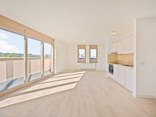 Studio zur Miete 624 € 2 Zimmer 48,2 m² 6. Geschoss frei ab 01.02.2026 Pfotenhauerstraße 41 Johannstadt-Nord Dresden 01307