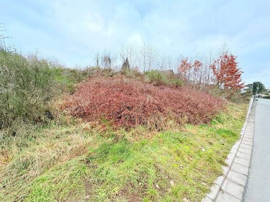 Grundstück zum Kauf 330.000 € 572 m² Grundstück Hemhofen 91334