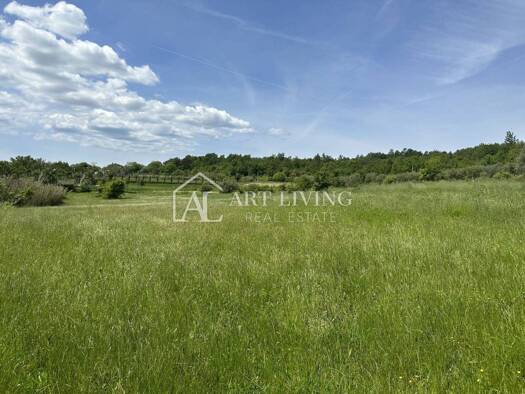 Acker-/Waldstück zum Kauf 128.000 € Buje Buje 52460