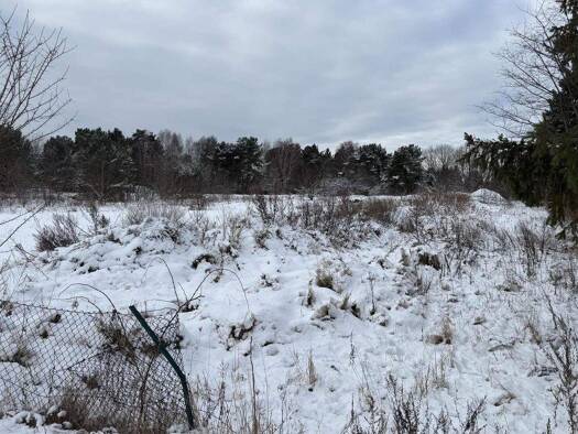 Grundstück zum Kauf 675.000 € 5.500 m² Grundstück Rauen 15518