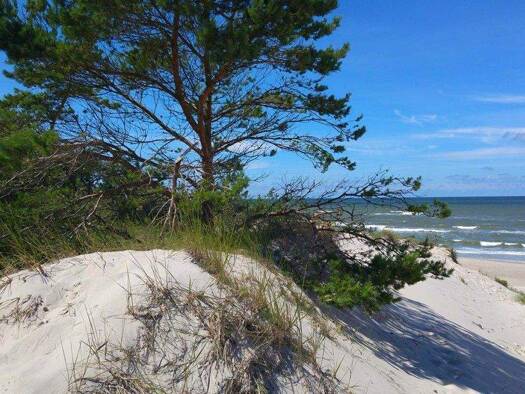 Einfamilienhaus zum Kauf - Erstbezug provisionsfrei 425.000 € 5 Zimmer 181 m² 3.490 m² Grundstück Retowo 76213