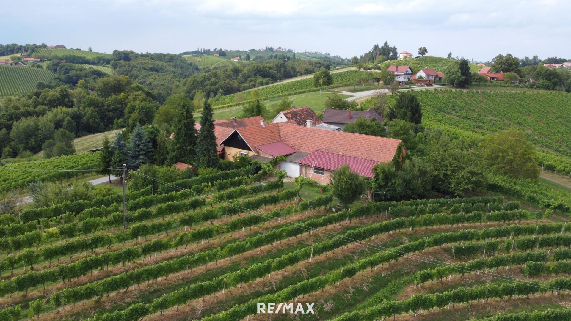 Weingut zum Kauf 299.000 € 55.783 m²<br/>Grundstück Bad Radkersburg 8490