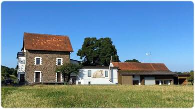 Einfamilienhaus zum Kauf 397.000 € 12 Zimmer 320 m² 5.820 m² Grundstück Frankenau Frankenau 35110
