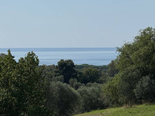 Einfamilienhaus zum Kauf 750.000 € 10 Zimmer 180 m² 20.000 m² Grundstück Follonica 58022