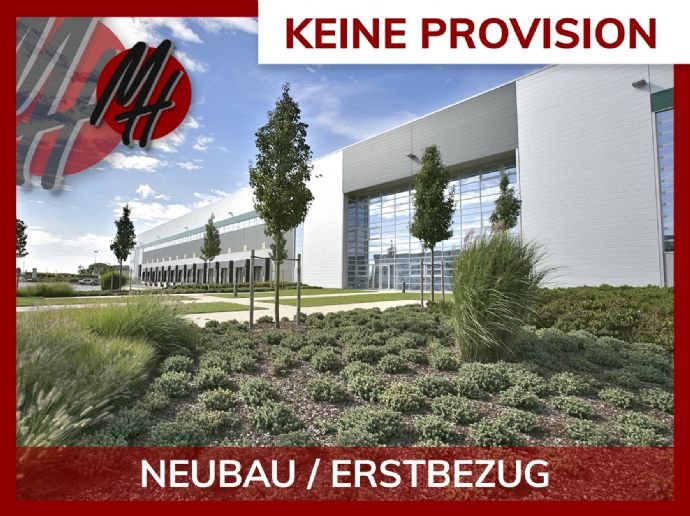 Lagerhalle zur Miete provisionsfrei 25.000 m²<br/>Lagerfläche ab 10.000 m²<br/>Teilbarkeit Büdesheim Bingen am Rhein 55411