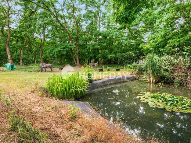 Einfamilienhaus zum Kauf 380.000 € 4 Zimmer 198 m² 6.500 m² Grundstück Parey Elbe-Parey 39317