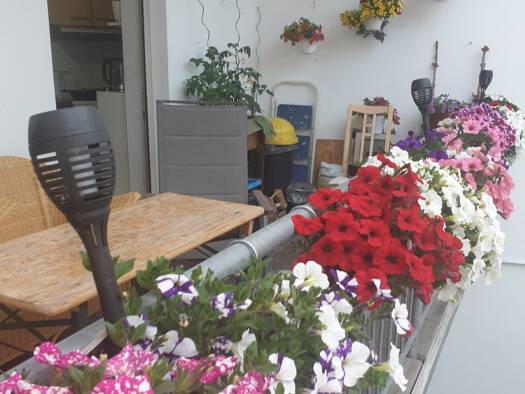 Wohnung zum Kauf provisionsfrei 250.000 € 3 Zimmer 80 m² Geschoss 3/4 Rollgasse 13 Altstadt Weimar 99423
