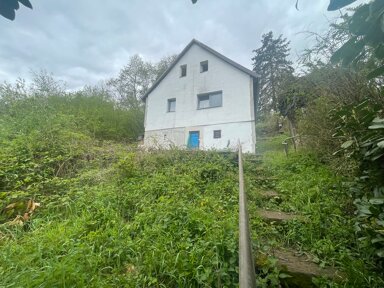 Einfamilienhaus zum Kauf 34.900 € 4 Zimmer 65 m² 387 m² Grundstück Weidenthal 67475