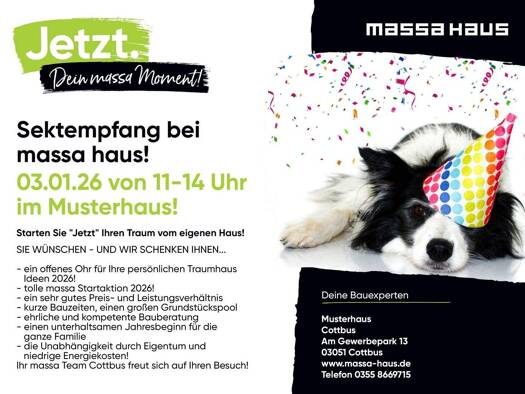 Einfamilienhaus zum Kauf provisionsfrei 249.000 € 5 Zimmer 145 m² 850 m² Grundstück Werben 03096