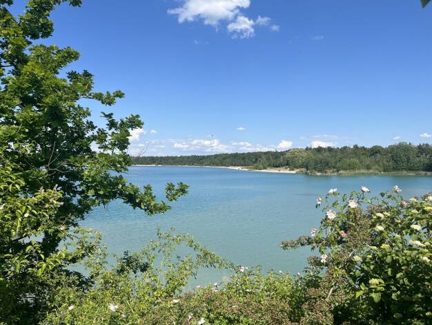 Grundstück zum Kauf 285.000 € 634 m² Grundstück Naunhof 04683