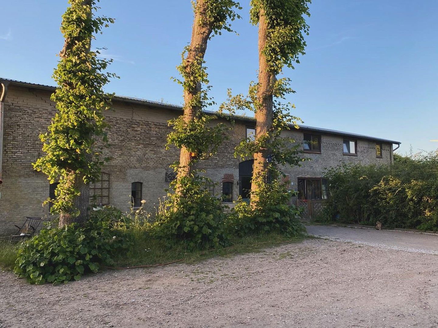 Bauernhaus zum Kauf provisionsfrei 399.999 € 6 Zimmer 210 m²<br/>Wohnfläche 15.000 m²<br/>Grundstück 01.01.2025<br/>Verfügbarkeit Groß Rheide 24872