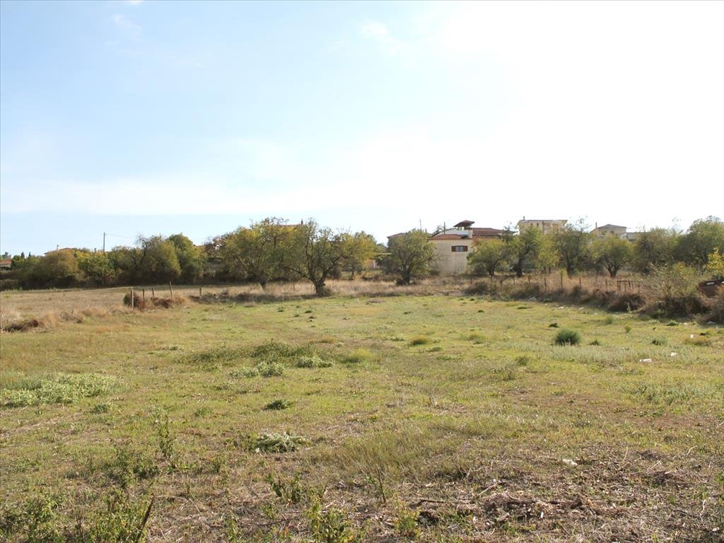 Land-/Forstwirtschaft zum Kauf 150.000 € 2.000 m²<br/>Grundstück Chalkidiki