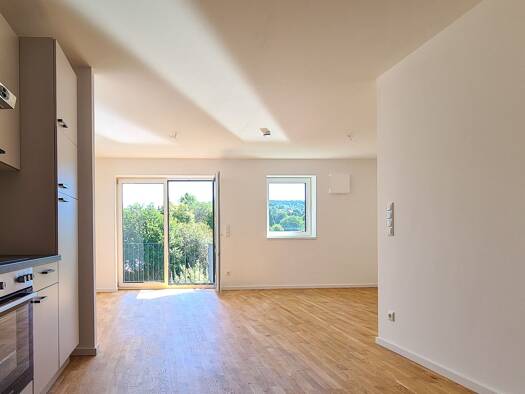 Wohnung zur Miete 627 € 2 Zimmer 57 m² Geschoss 1/3 frei ab sofort Freyung 94078