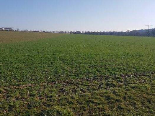 Land-/Forstwirtschaft zum Kauf 39.500 € 1.260 m² Grundstück Leinfelden Leinfelden-Echterdingen 70771