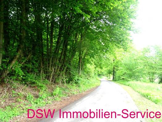 Grundstück zum Kauf 25.000 € 2.279 m² Grundstück frei ab sofort Helmarshausen Bad Karlshafen 34385