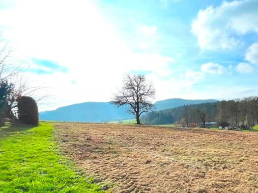 Grundstück zum Kauf 269.000 € 1.190 m² Grundstück Mariatrost Graz(Stadt) 8044