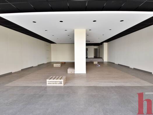 Laden zur Miete 1.950 € 186,1 m² Verkaufsfläche Diepholz 49356