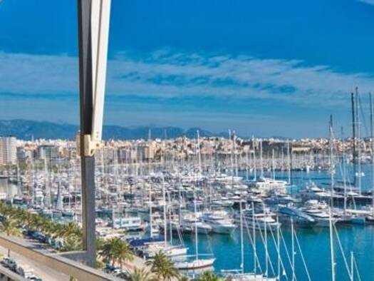 Terrassenwohnung zum Kauf provisionsfrei 895.000 € 3 Zimmer 127 m² Palma de Mallorca 07001
