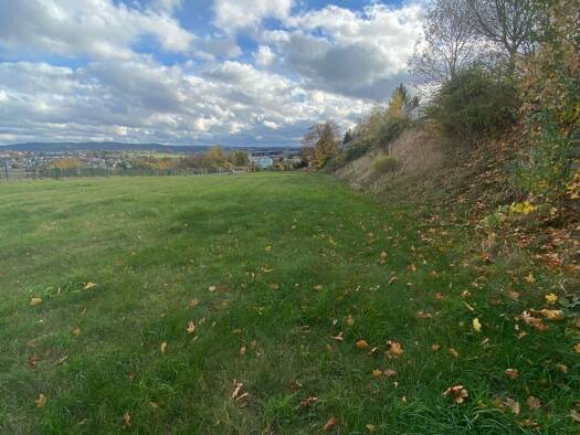 Grundstück zum Kauf provisionsfrei 355.000 € 4.444 m² Grundstück Auerbach 08209